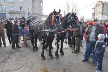 Comuna Kogălniceanu duce tradiţia mai departe: azi are loc Boboteaza Cailor
